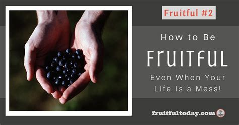 How does Fruitful fit into your Daily Goals - calories, carbs, nutrition