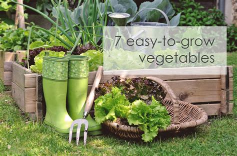 How does Garden Veggies & Pesto Potato fit into your Daily Goals - calories, carbs, nutrition