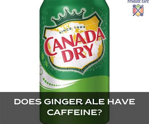 How does Ginger Ale fit into your Daily Goals - calories, carbs, nutrition