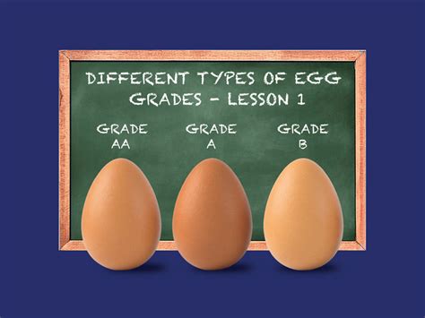 How does Grade Aa Large Eggs fit into your Daily Goals - calories, carbs, nutrition