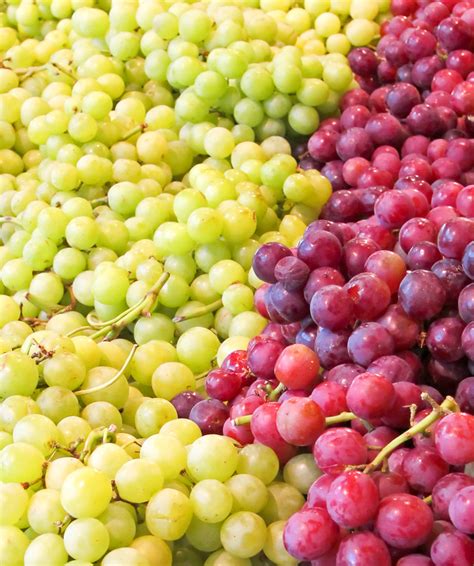 How does Grapes, Seedless, Red/Green fit into your Daily Goals - calories, carbs, nutrition