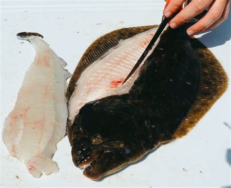 How does Greek Flounder Fillets fit into your Daily Goals - calories, carbs, nutrition