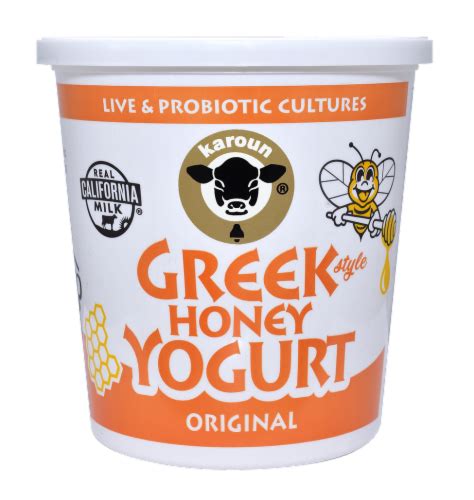 How does Greek Style Honey Yogurt fit into your Daily Goals - calories, carbs, nutrition