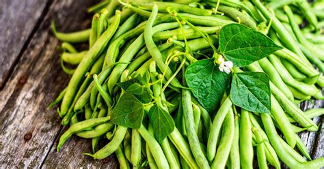 How does Green Beans & Ginger fit into your Daily Goals - calories, carbs, nutrition