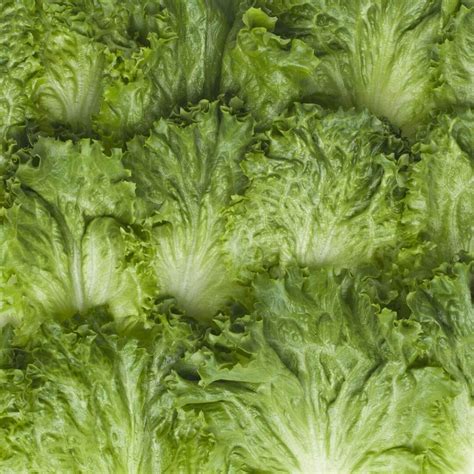 How does Green Leaf Lettuce fit into your Daily Goals - calories, carbs, nutrition