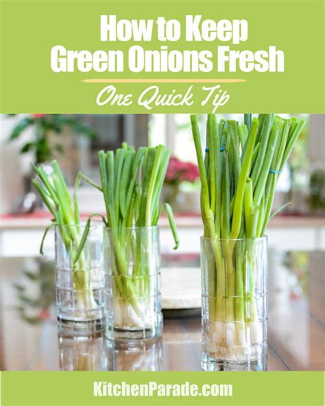 How does Green Onions, Fresh fit into your Daily Goals - calories, carbs, nutrition