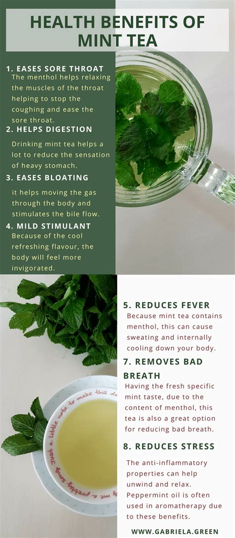 How does Green Tea with Mint fit into your Daily Goals - calories, carbs, nutrition