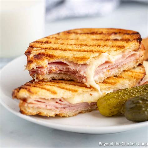 How does Grilled Ham and Swiss Panini (9207.2) fit into your Daily Goals - calories, carbs, nutrition