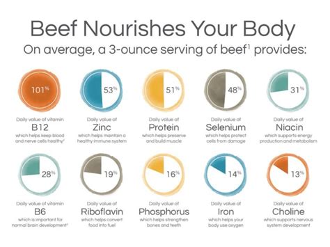 How does Ground Chuck Beef fit into your Daily Goals - calories, carbs, nutrition