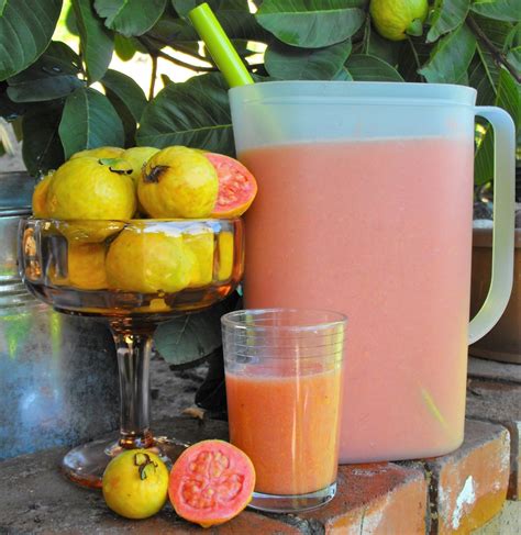 How does Guava nectar, canned fit into your Daily Goals - calories, carbs, nutrition