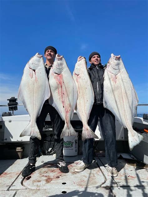 How does Halibut fit into your Daily Goals - calories, carbs, nutrition
