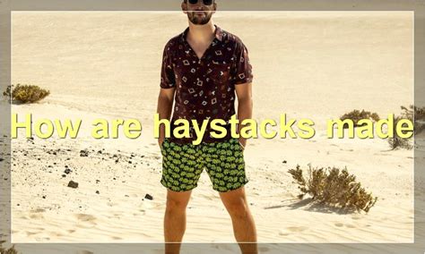 How does Haystacks fit into your Daily Goals - calories, carbs, nutrition