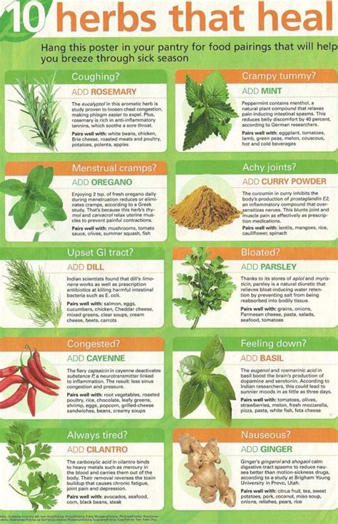 How does Herb Mix fit into your Daily Goals - calories, carbs, nutrition