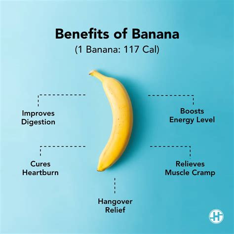 How does High Protein Banana fit into your Daily Goals - calories, carbs, nutrition