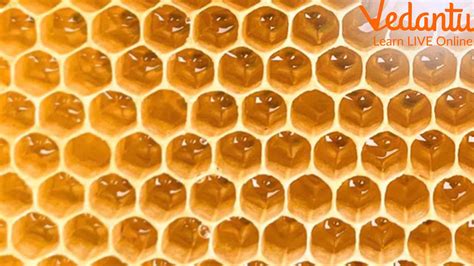 How does Honey-Comb fit into your Daily Goals - calories, carbs, nutrition
