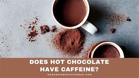 How does Hot Cocoa fit into your Daily Goals - calories, carbs, nutrition