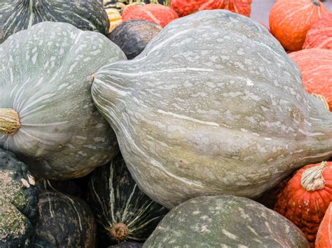 How does Hubbard Squash fit into your Daily Goals - calories, carbs, nutrition