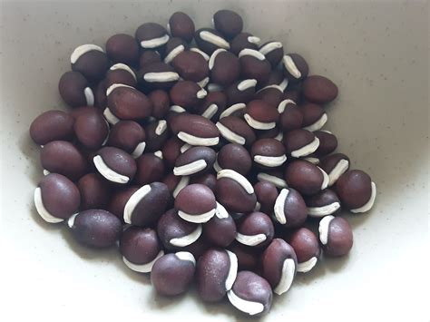 How does Hyacinth beans, mature seeds, raw fit into your Daily Goals - calories, carbs, nutrition