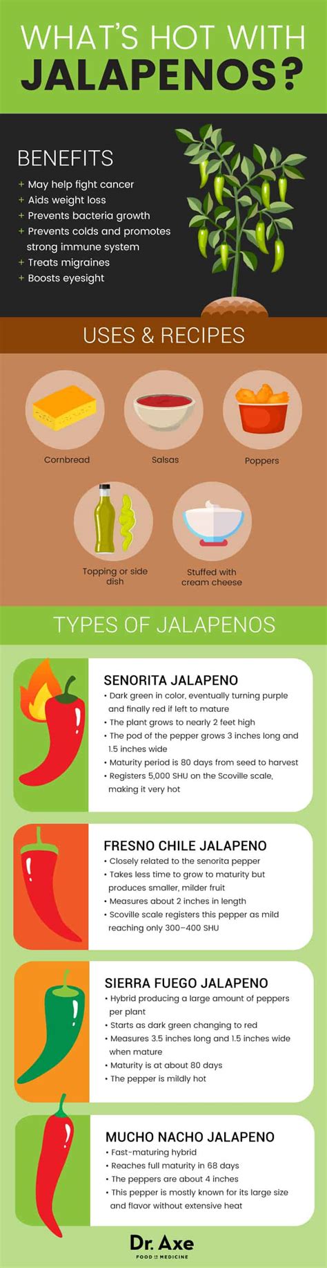 How does Jalapeno String fit into your Daily Goals - calories, carbs, nutrition