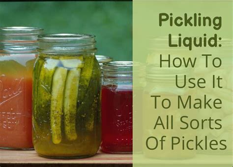 How does Javanese Pickling Liquid fit into your Daily Goals - calories, carbs, nutrition