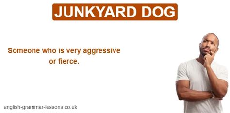 How does Junk Yard Dog fit into your Daily Goals - calories, carbs, nutrition