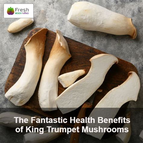 How does King Trumpet Mushroom (81659.0) fit into your Daily Goals - calories, carbs, nutrition