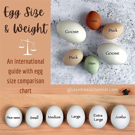 How does Large Egg fit into your Daily Goals - calories, carbs, nutrition