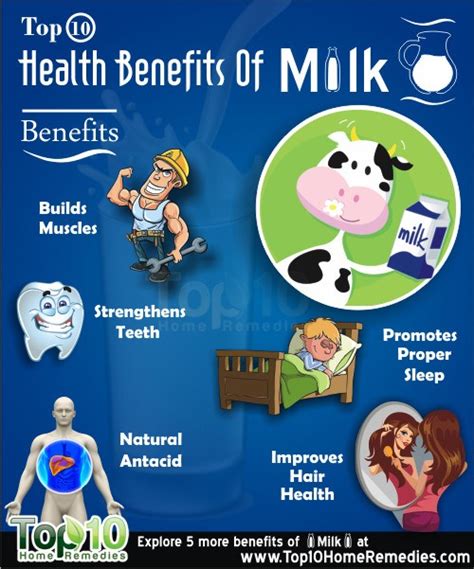 How does Leche Entera fit into your Daily Goals - calories, carbs, nutrition