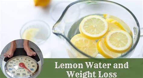 How does Lemon Non-Fat fit into your Daily Goals - calories, carbs, nutrition
