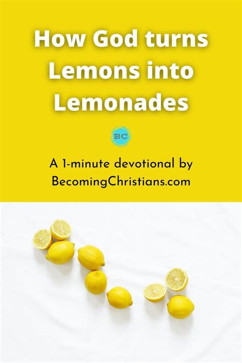 How does Lemonades fit into your Daily Goals - calories, carbs, nutrition