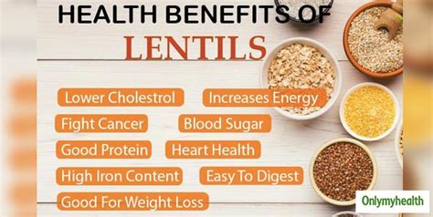 How does Lentil fit into your Daily Goals - calories, carbs, nutrition