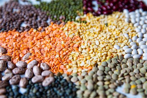 How does Lentils, Beans & Couscous w/Vinaigrette fit into your Daily Goals - calories, carbs, nutrition