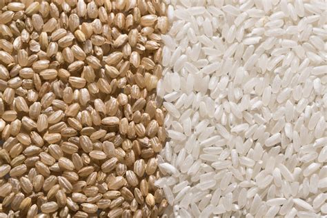 How does Long Grain Brown Rice fit into your Daily Goals - calories, carbs, nutrition