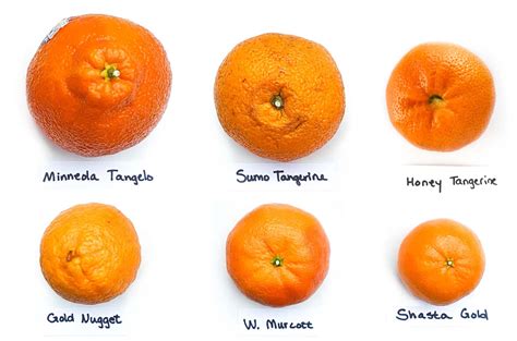 How does Mandarins Soft & Juicy fit into your Daily Goals - calories, carbs, nutrition