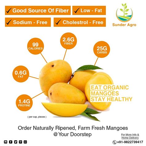 How does Mango fit into your Daily Goals - calories, carbs, nutrition