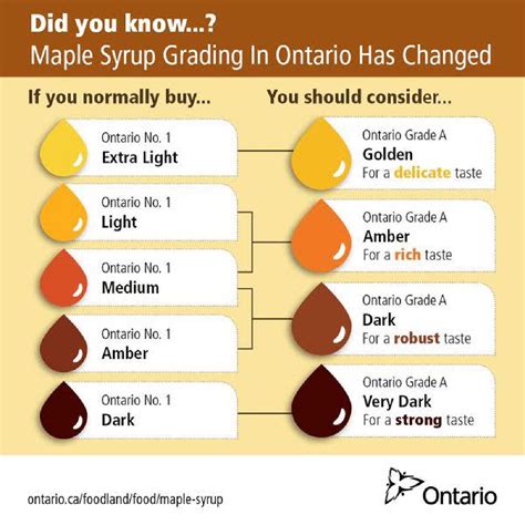 How does Maple Syrup (63429.0) fit into your Daily Goals - calories, carbs, nutrition