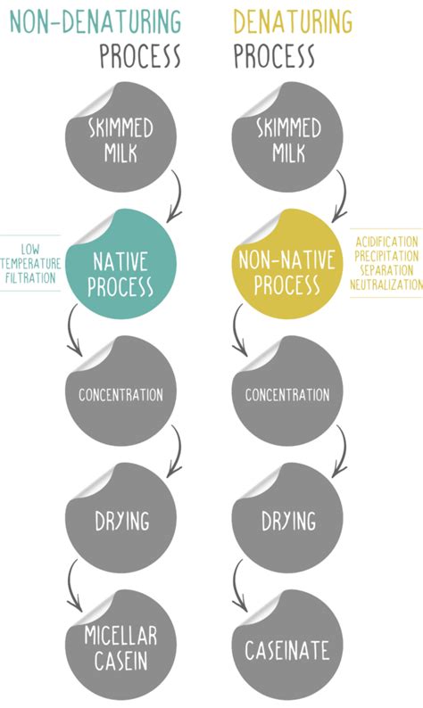 How does Micellar Casein fit into your Daily Goals - calories, carbs, nutrition