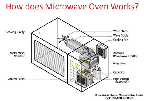 How does Microwave Singles fit into your Daily Goals - calories, carbs, nutrition