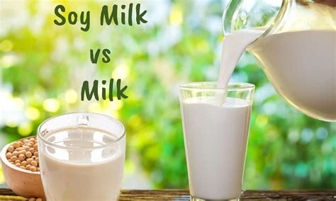 How does Milk - Tall - Soy Milk fit into your Daily Goals - calories, carbs, nutrition