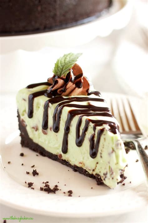 How does Mint Chocolate Chip Cheesecake fit into your Daily Goals - calories, carbs, nutrition