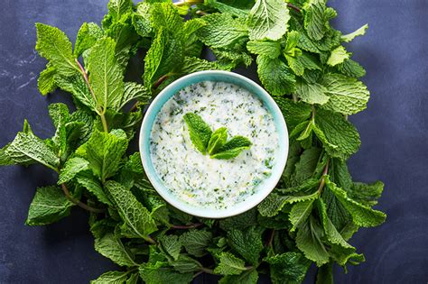 How does Mint Yoghurt fit into your Daily Goals - calories, carbs, nutrition