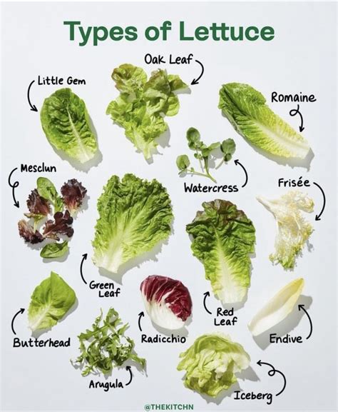 How does Mixed Greens and Red Leaf Lettuce fit into your Daily Goals - calories, carbs, nutrition