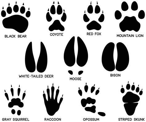 How does Moose Tracks fit into your Daily Goals - calories, carbs, nutrition