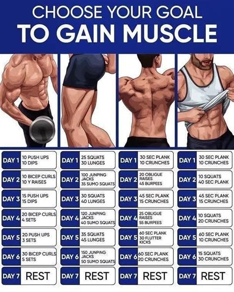 How does Muscle Gain-Chocolate fit into your Daily Goals - calories, carbs, nutrition