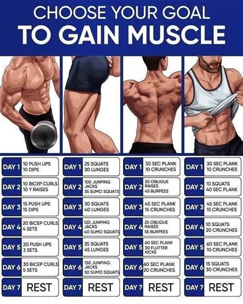 How does Muscle Gain-Chocolate fit into your Daily Goals - calories, carbs, nutrition