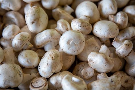 How does Mushroom Button Roasted Halved NSA 3 oz fit into your Daily Goals - calories, carbs, nutrition