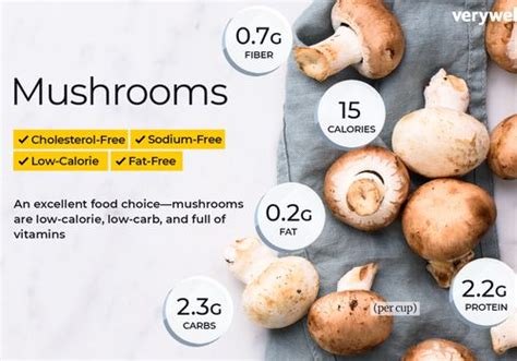 How does Mushroom Sauce fit into your Daily Goals - calories, carbs, nutrition