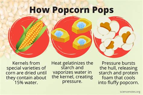 How does Natural Popcorn fit into your Daily Goals - calories, carbs, nutrition