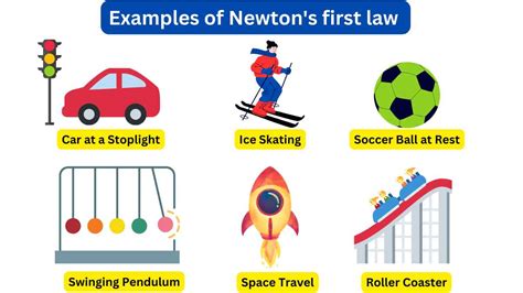 How does Newton Minis fit into your Daily Goals - calories, carbs, nutrition