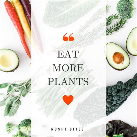 How does Noshi Vegetable and Rice Share Box fit into your Daily Goals - calories, carbs, nutrition